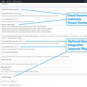 Cloud Service Customization