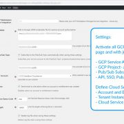 GCP_MSI_Settings_1