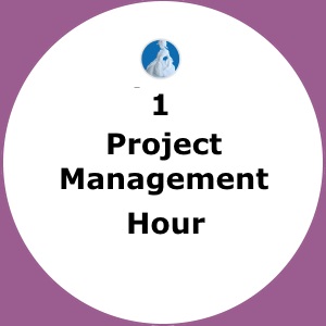 Project Management Hour - Logo