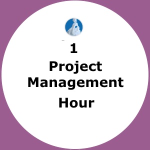 Project Management Hour - Logo